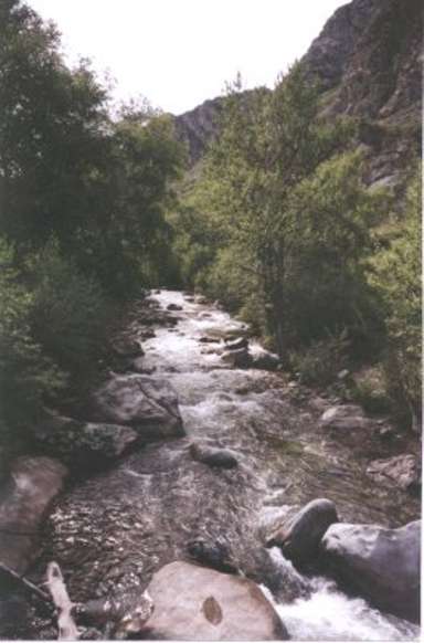 Приток реки Катунь - Горный Алтай